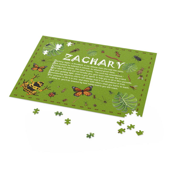 Namesakes  Acrostic Name Name Poem Puzzle - Insect Design