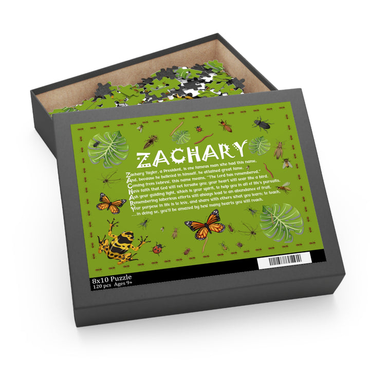 Namesakes  Acrostic Name Name Poem Puzzle - Insect Design