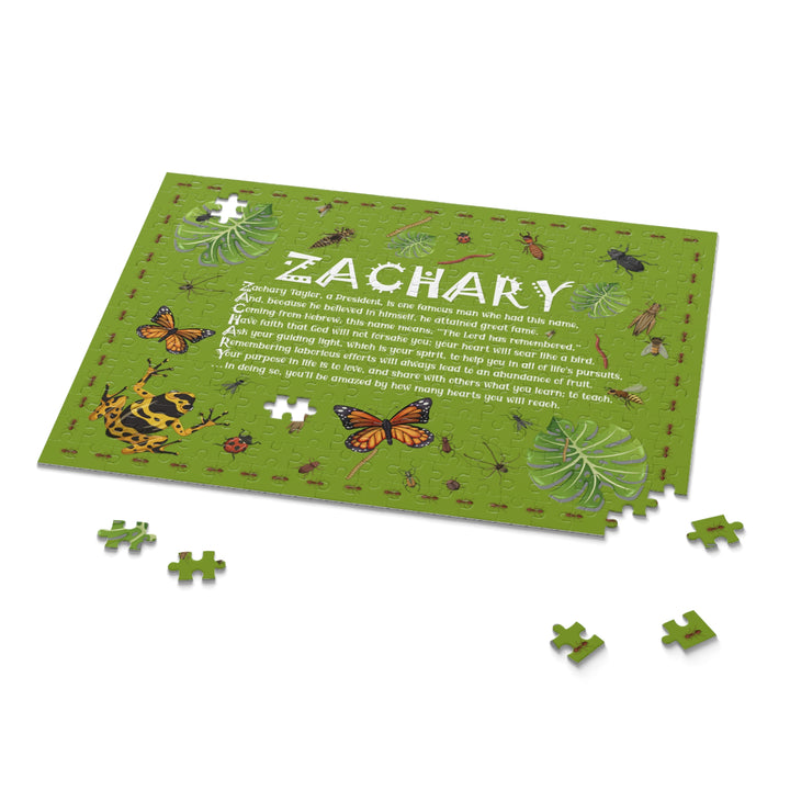 Namesakes  Acrostic Name Name Poem Puzzle - Insect Design
