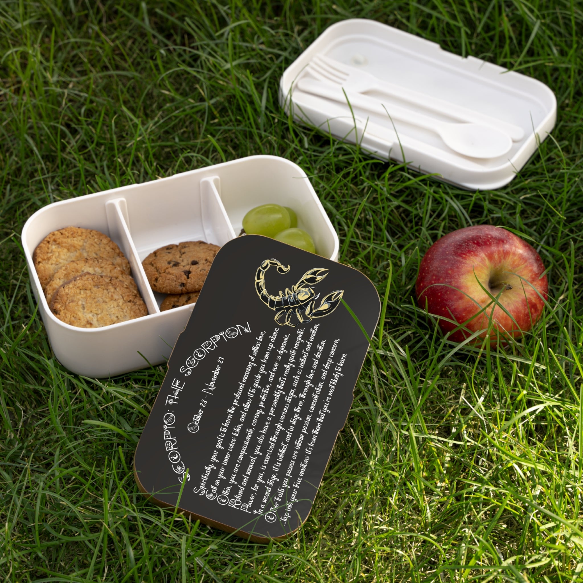 Written in the Stars Bento Lunch Box Collection