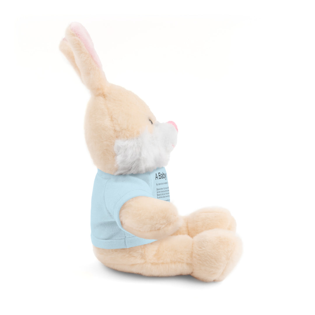 Baby Steps Stuffed Animals with Tee - A Baby is Born