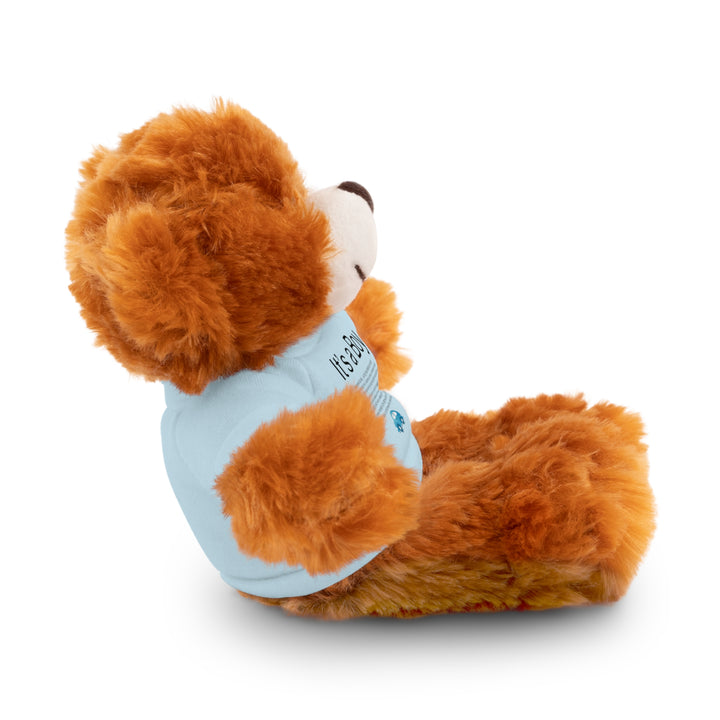 It's a Boy Acrostic Poem Stuffed Animal Collection with T-Shirt - Car