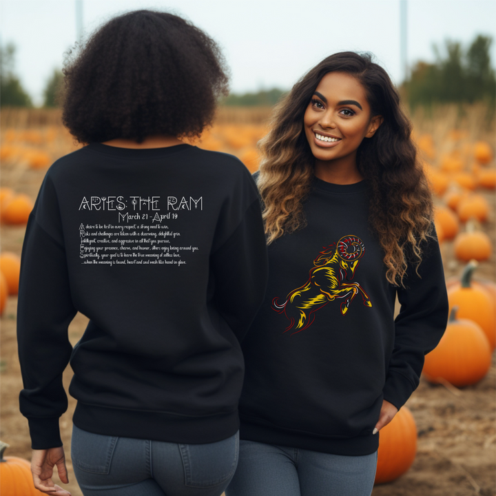 Aries Acrostic Poem Astrology Sweatshirt - Unisex