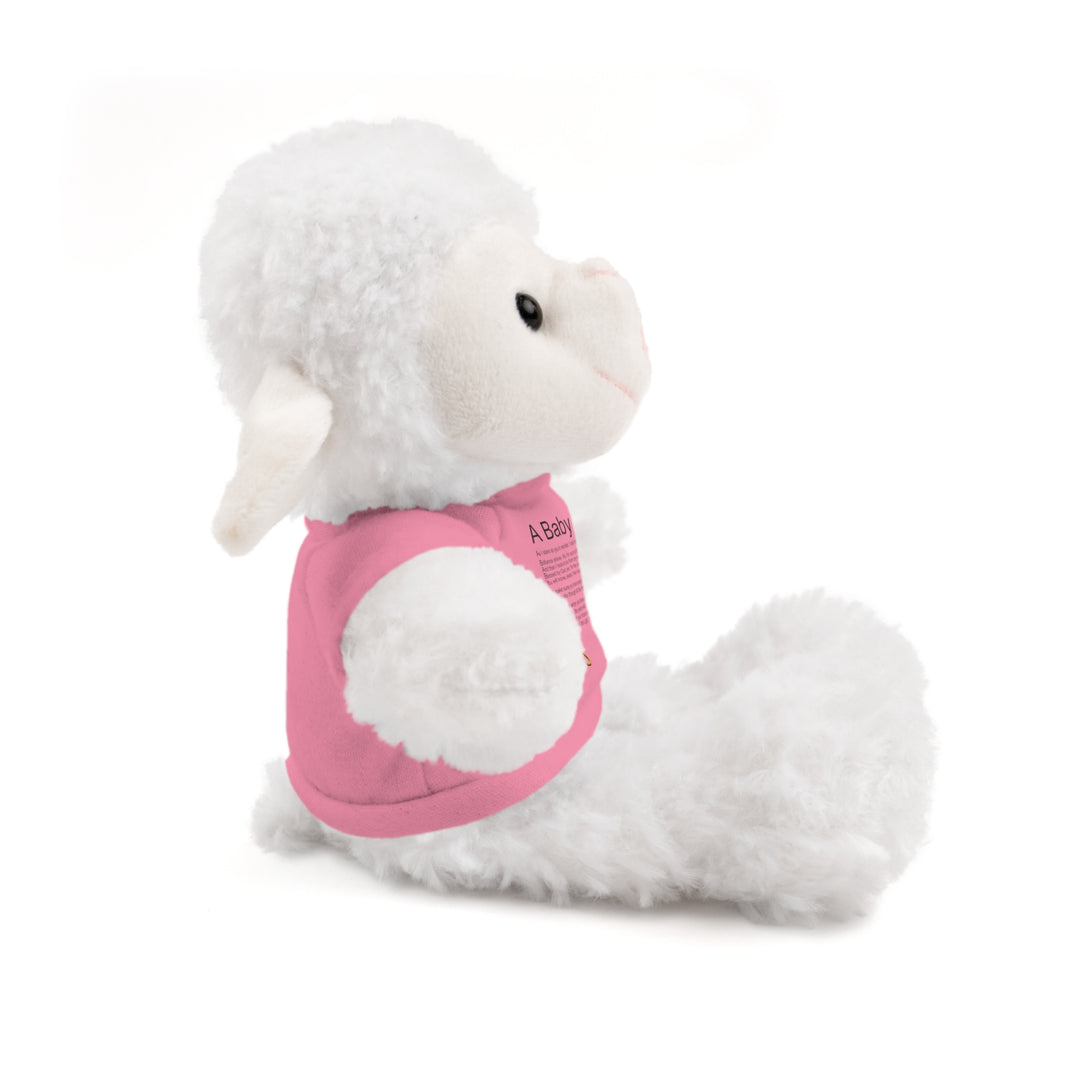 A Baby is Born Acrostic Poem Stuffed Animal Collection with T-Shirt - Wings