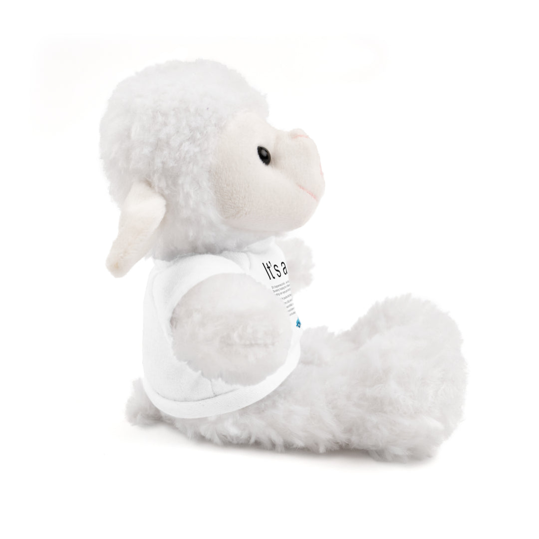 It's a Boy Acrostic Poem Stuffed Animal Collection with T-Shirt - Car