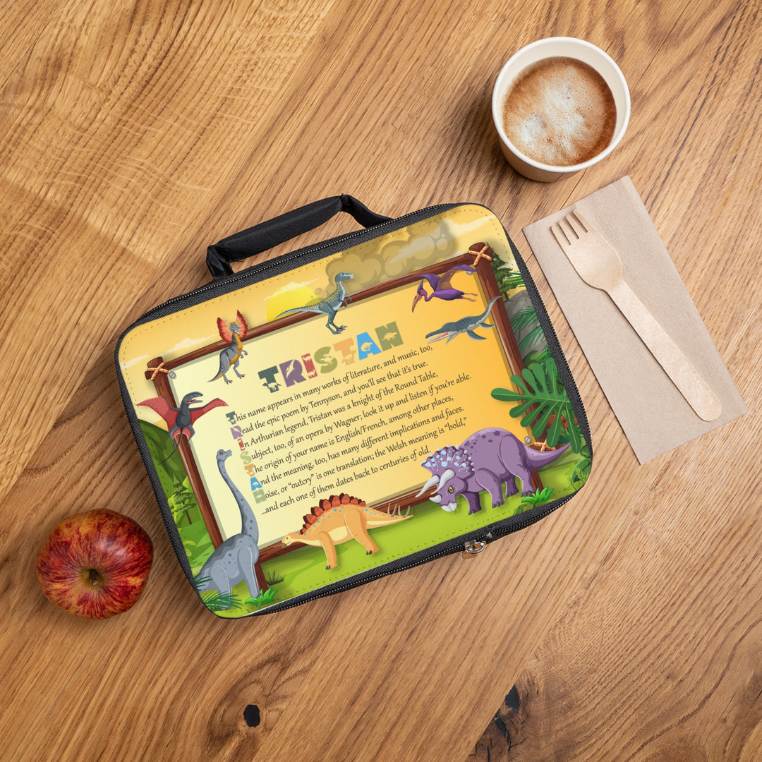 Lunch Bag - Dinosaur Design