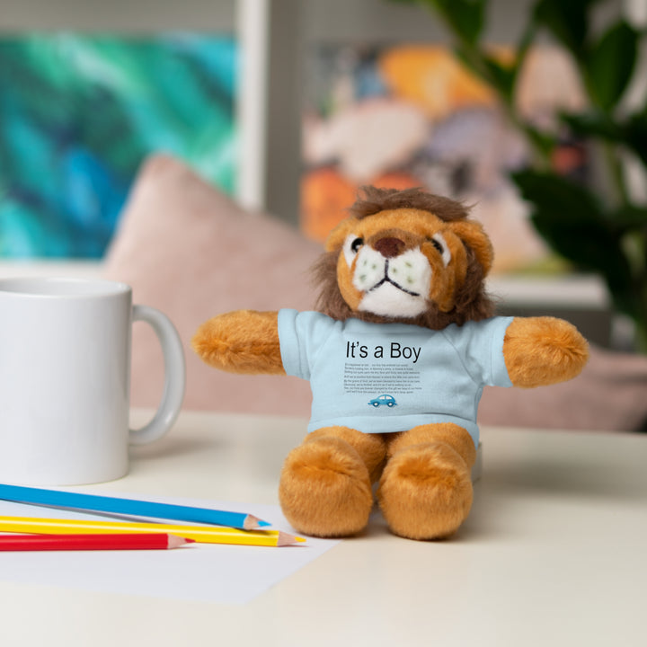 It's a Boy Acrostic Poem Stuffed Animal Collection with T-Shirt - Car