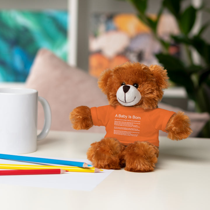 Baby Steps Stuffed Animals with Tee - A Baby is Born