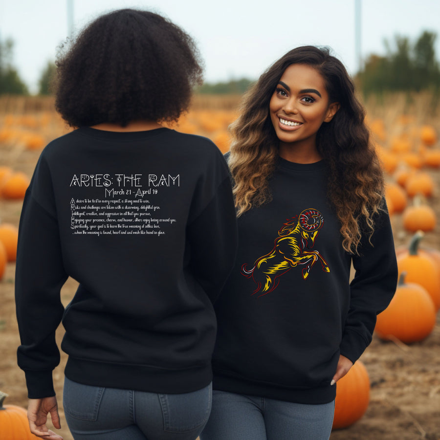Astrology Sweatshirt with Acrostic Poem Spelling out "Aries". Great Birthday or Christmas Horoscope Sign Gift for Any Zodiac Lover.